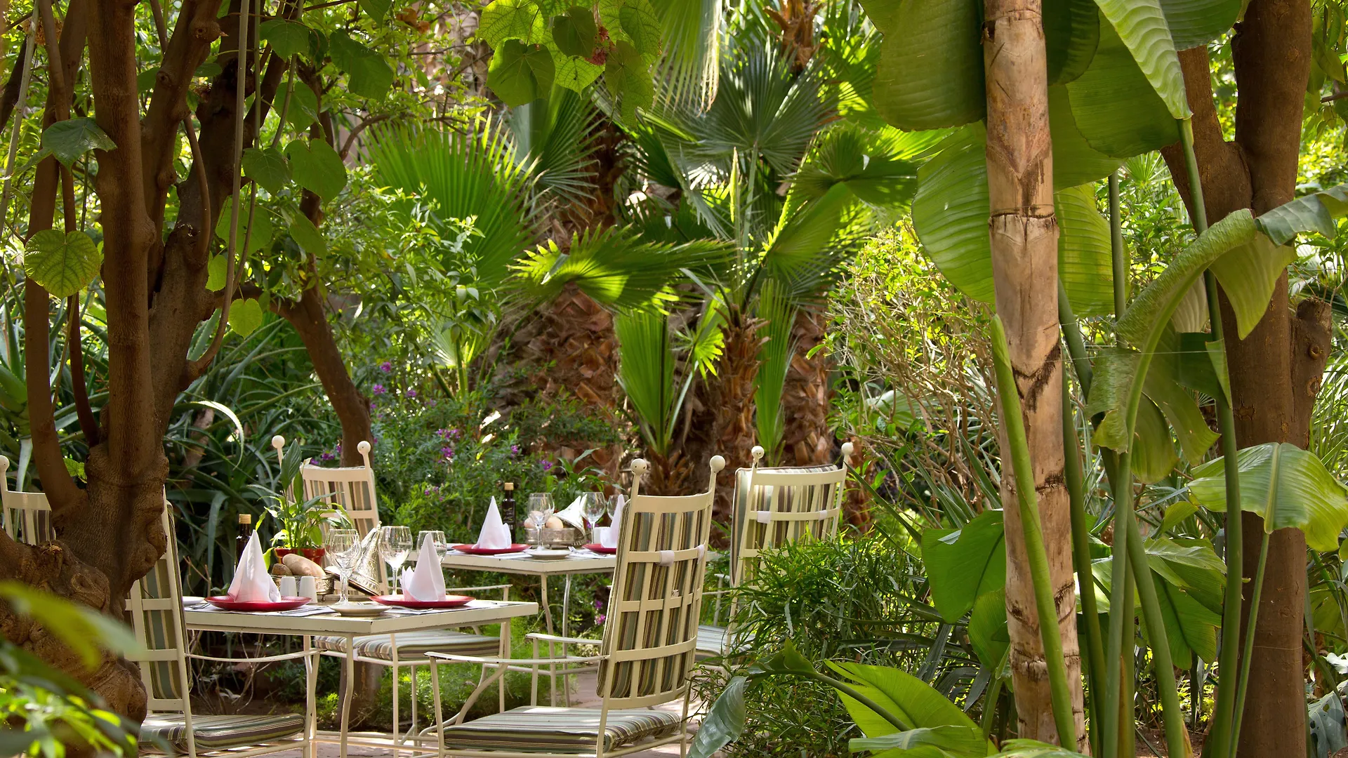 Les Jardins De La Medina Hotel Marrakesh