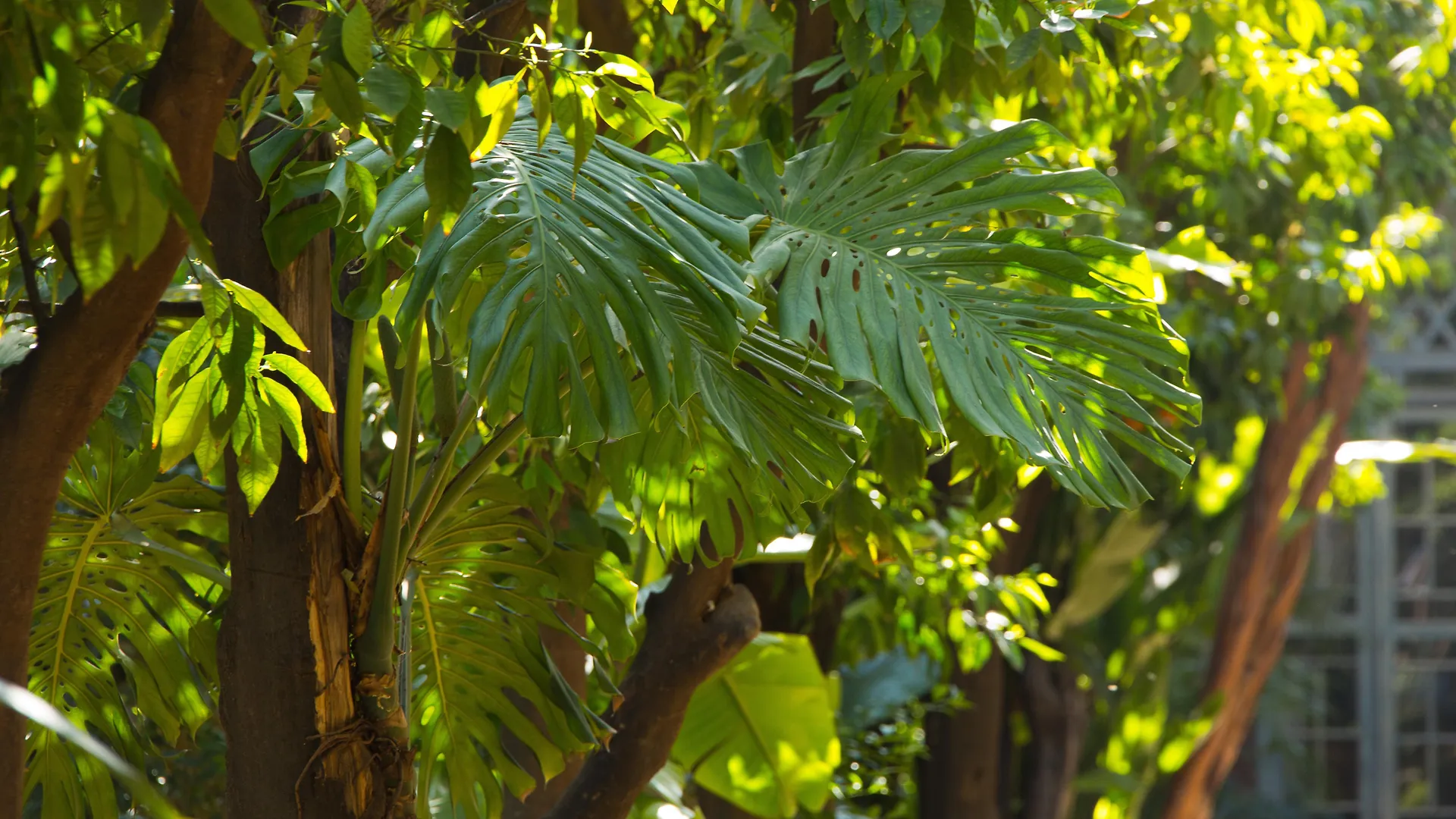 Hotel Les Jardins De La Médina Marrakesh