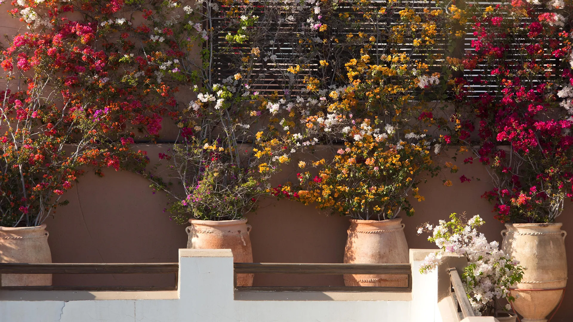 Hotel Les Jardins De La Médina Marrakesh